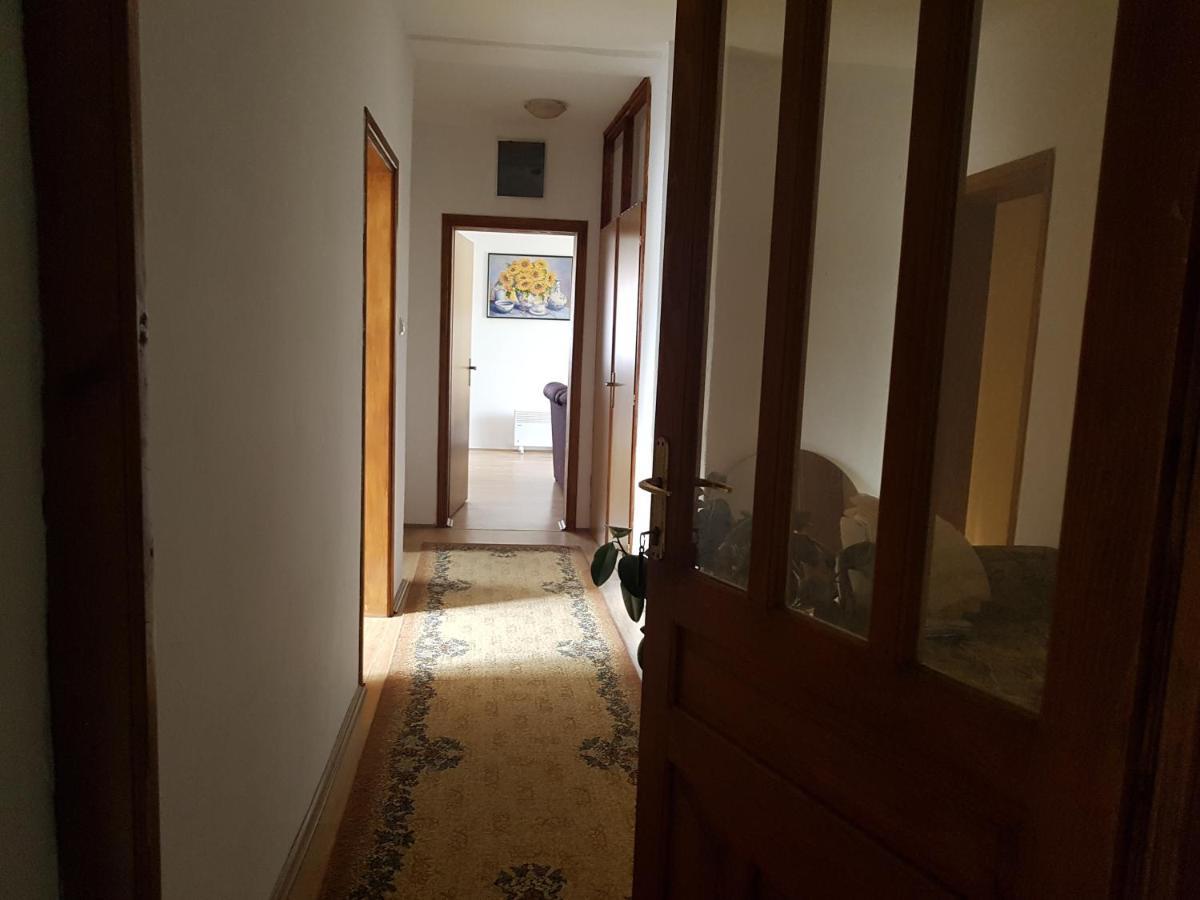 Appartement Apartman Jovanovic à Bajina Basta Extérieur photo